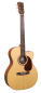 Preview: Anchor Guitars Falcon Europe CW AE